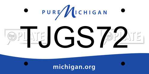 TJGS72 Michigan License Plate
