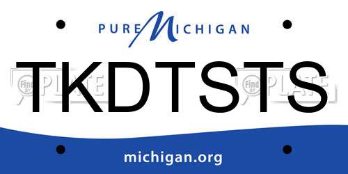 TKDTSTS Michigan License Plate