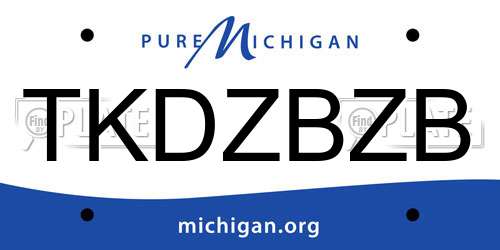 TKDZBZB Michigan License Plate