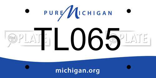 TL065 Michigan License Plate