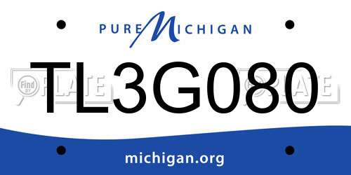 TL3G080 Michigan License Plate