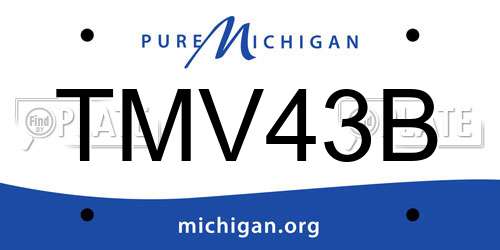 TMV43B Michigan License Plate