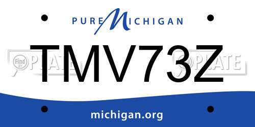 TMV73Z Michigan License Plate