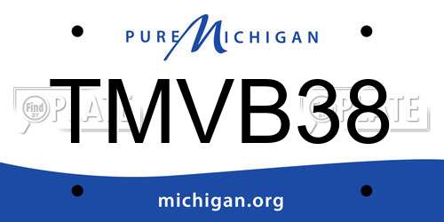 TMVB38 Michigan License Plate