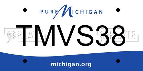 TMVS38 Michigan License Plate