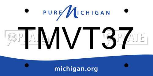 TMVT37 Michigan License Plate