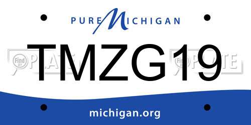 TMZG19 Michigan License Plate