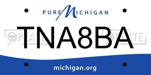TNA8BA Michigan License Plate
