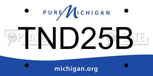 TND25B Michigan License Plate
