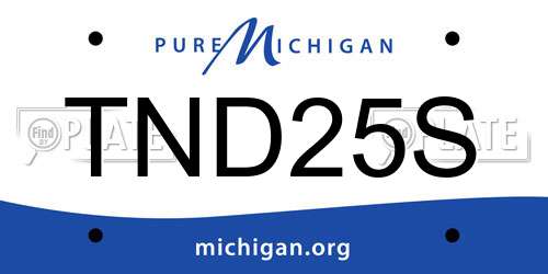 TND25S Michigan License Plate