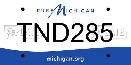 TND285 Michigan License Plate