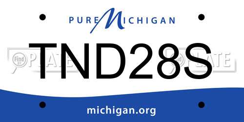 TND28S Michigan License Plate