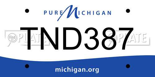 TND387 Michigan License Plate