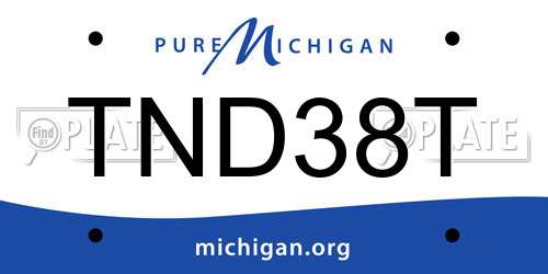 TND38T Michigan License Plate