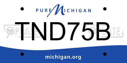 TND75B Michigan License Plate