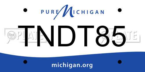 TNDT85 Michigan License Plate