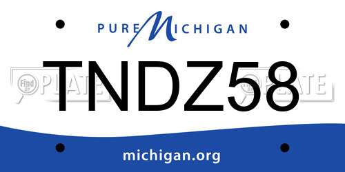 TNDZ58 Michigan License Plate