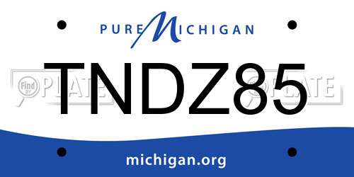 TNDZ85 Michigan License Plate