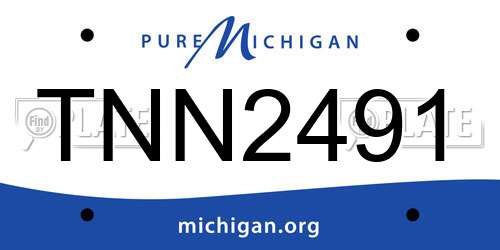 TNN2491 Michigan License Plate