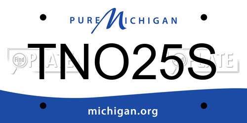 TNO25S Michigan License Plate