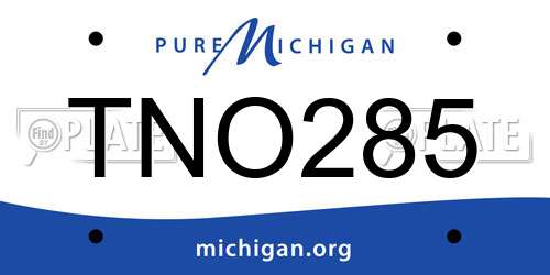 TNO285 Michigan License Plate