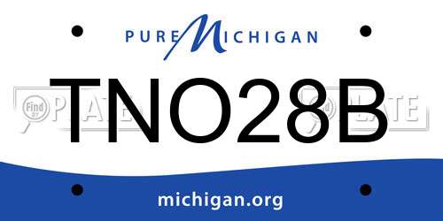 TNO28B Michigan License Plate