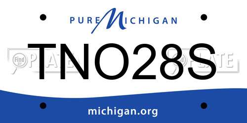 TNO28S Michigan License Plate