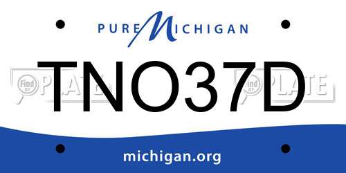 TNO37D Michigan License Plate