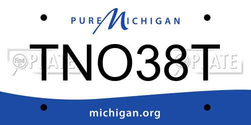 TNO38T Michigan License Plate