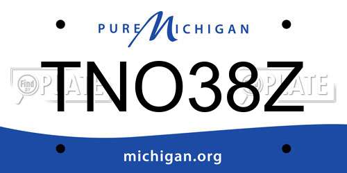 TNO38Z Michigan License Plate