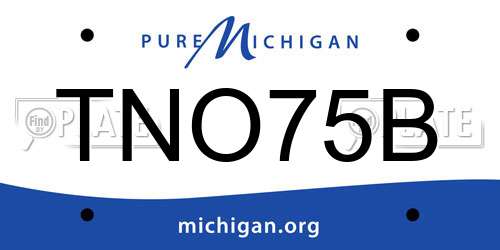 TNO75B Michigan License Plate