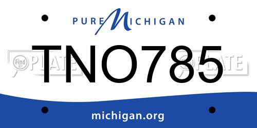 TNO785 Michigan License Plate
