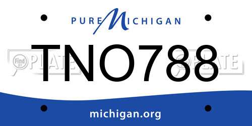 TNO788 Michigan License Plate