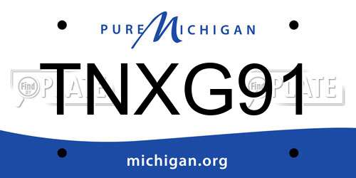 TNXG91 Michigan License Plate