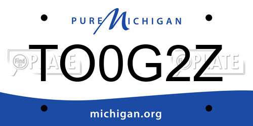 TO0G2Z Michigan License Plate