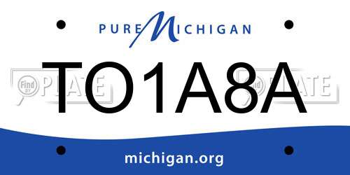 TO1A8A Michigan License Plate