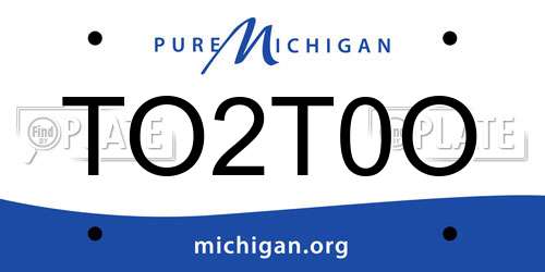 TO2T0O Michigan License Plate