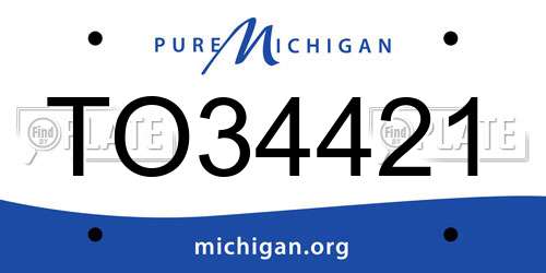 TO34421 Michigan License Plate