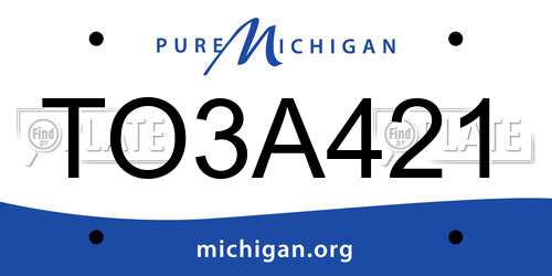 TO3A421 Michigan License Plate