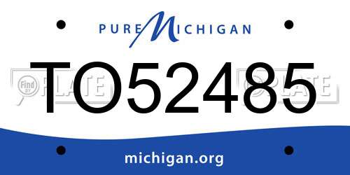 TO52485 Michigan License Plate