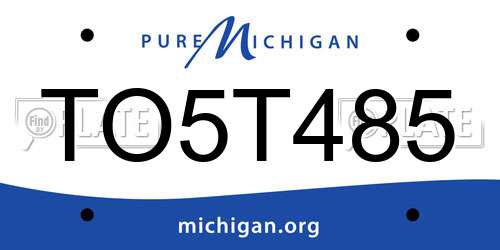 TO5T485 Michigan License Plate