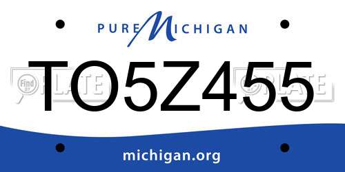 TO5Z455 Michigan License Plate