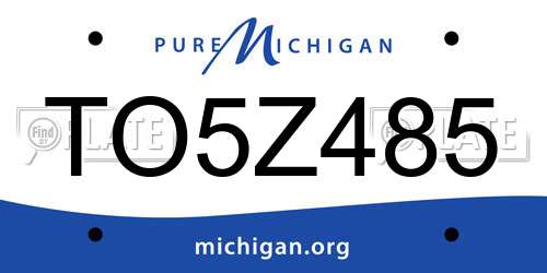 TO5Z485 Michigan License Plate