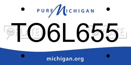 TO6L655 Michigan License Plate
