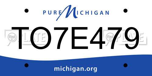 TO7E479 Michigan License Plate