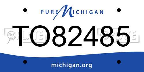 TO82485 Michigan License Plate