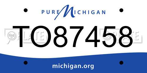 TO87458 Michigan License Plate