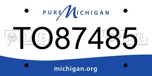 TO87485 Michigan License Plate