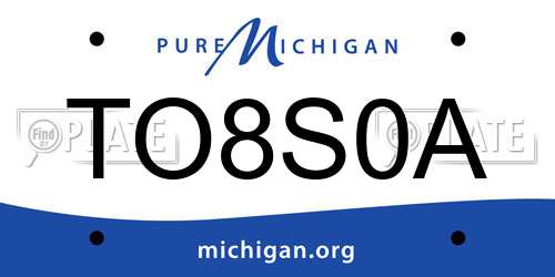 TO8S0A Michigan License Plate