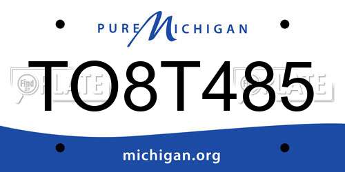 TO8T485 Michigan License Plate